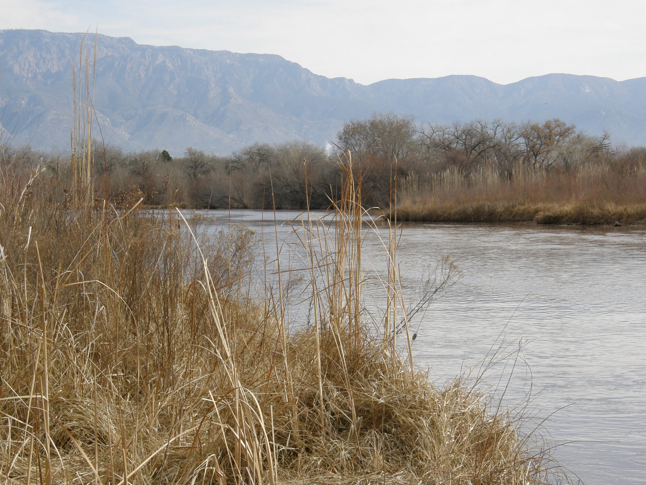 The Rio Grande