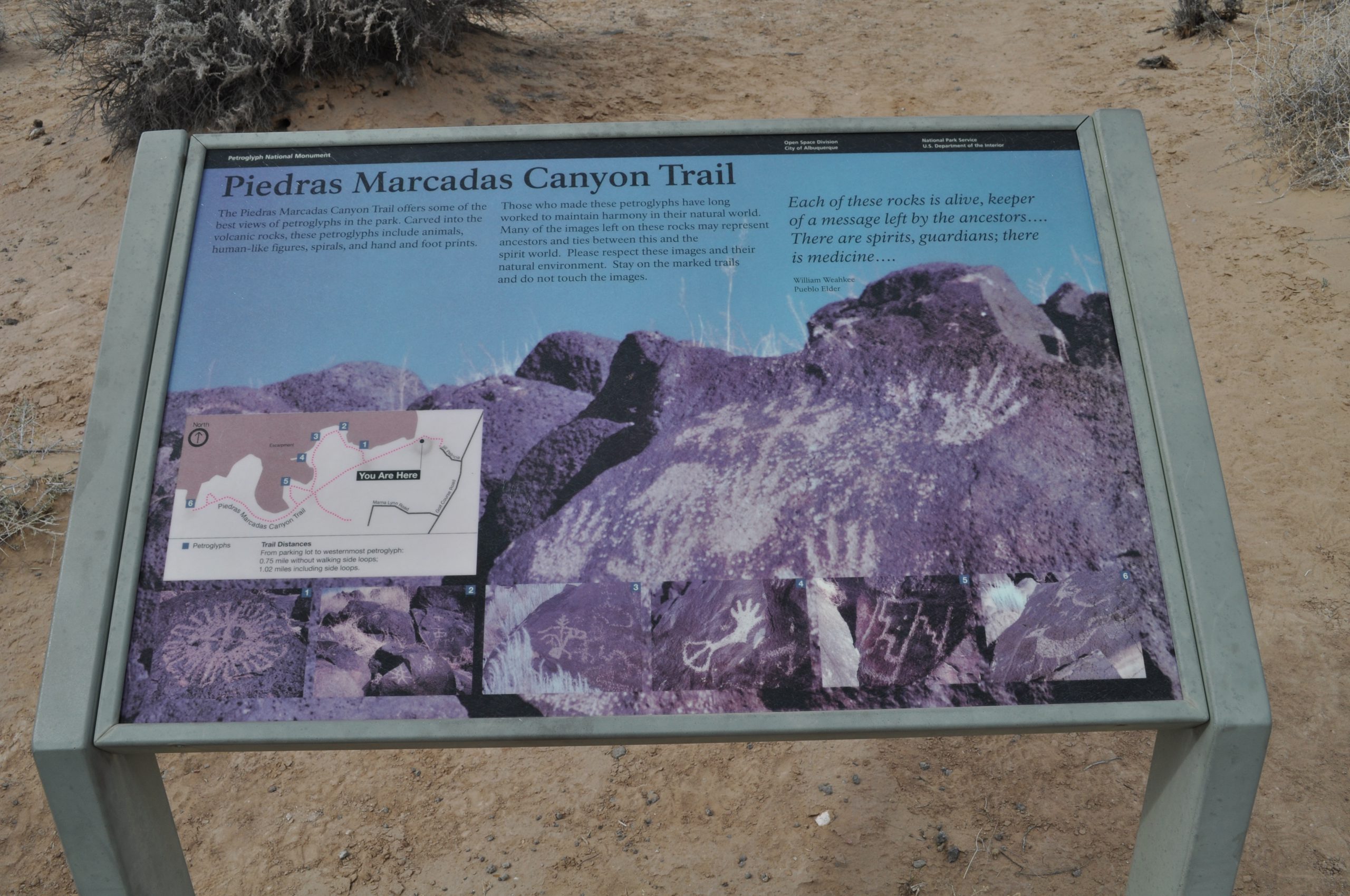 Piedras Marcadas Trail Map