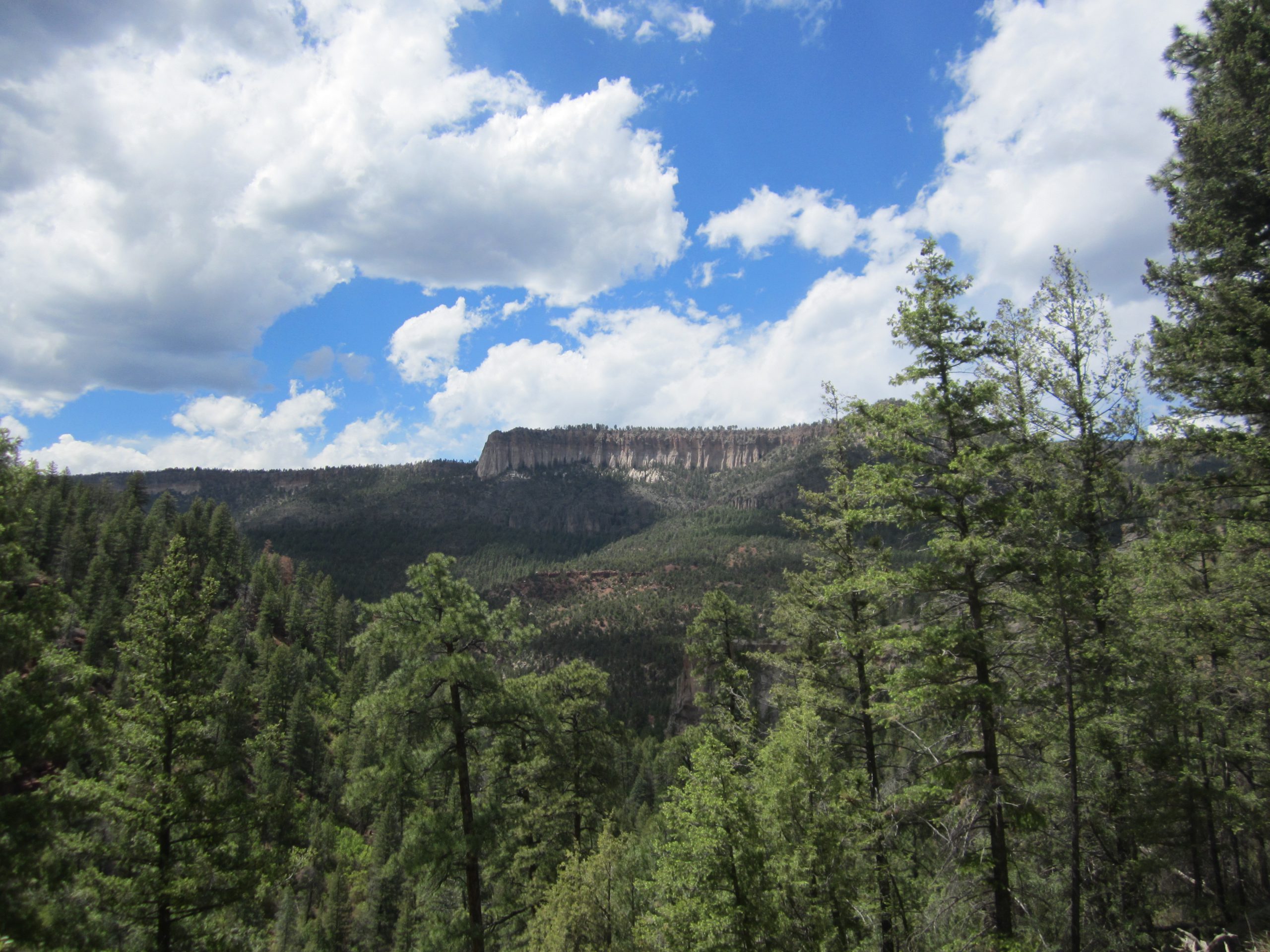View from the Trail