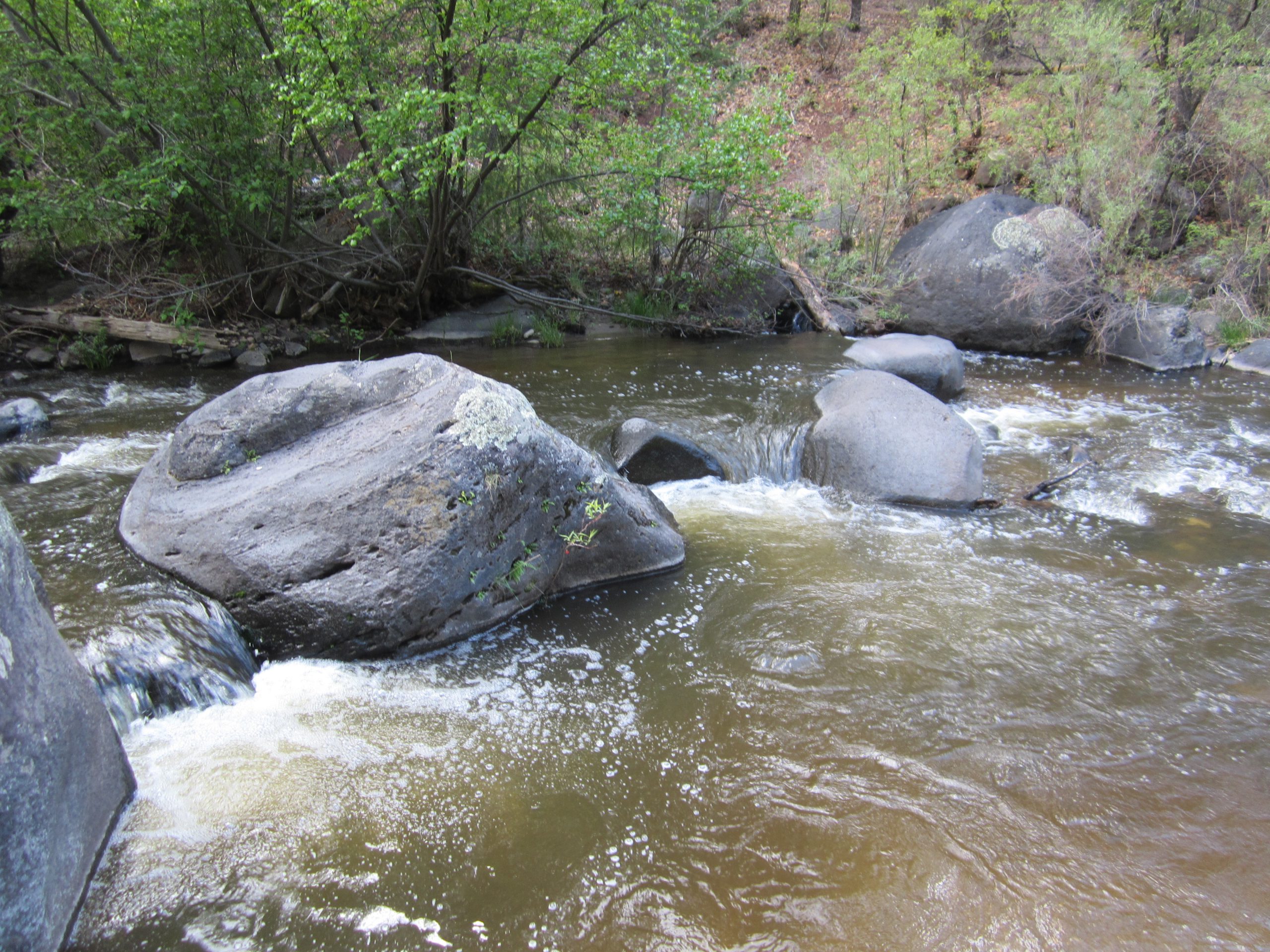 East Fork of the Jemez River Near Battleship Rock