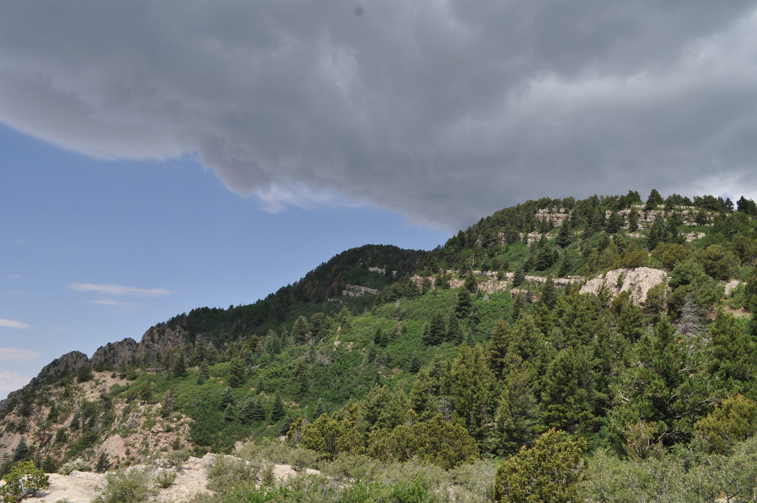 View From the Crest