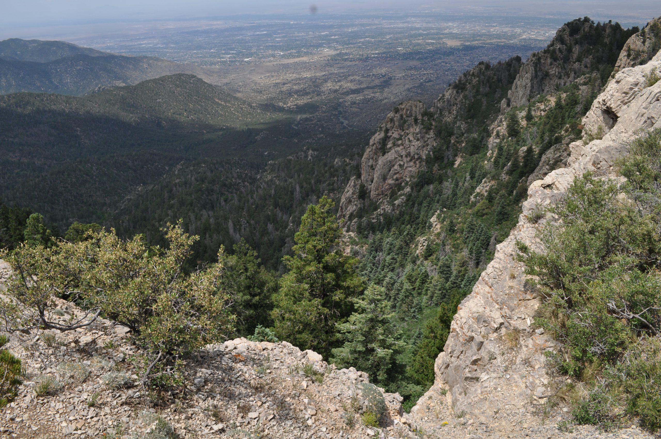 View From the Crest