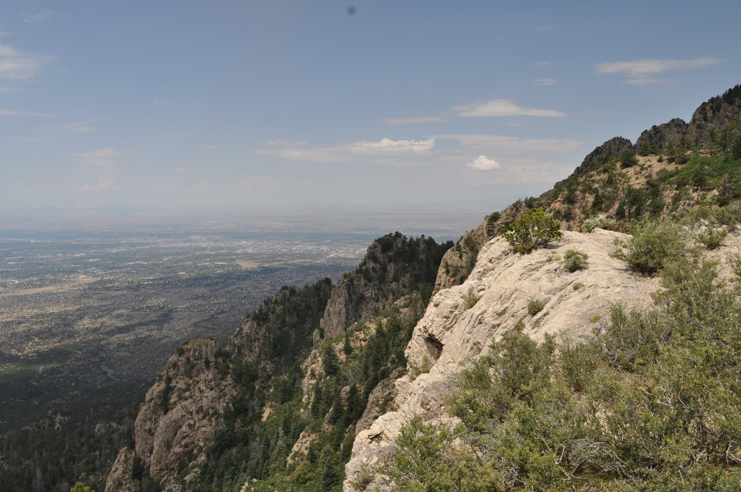 View From the Crest
