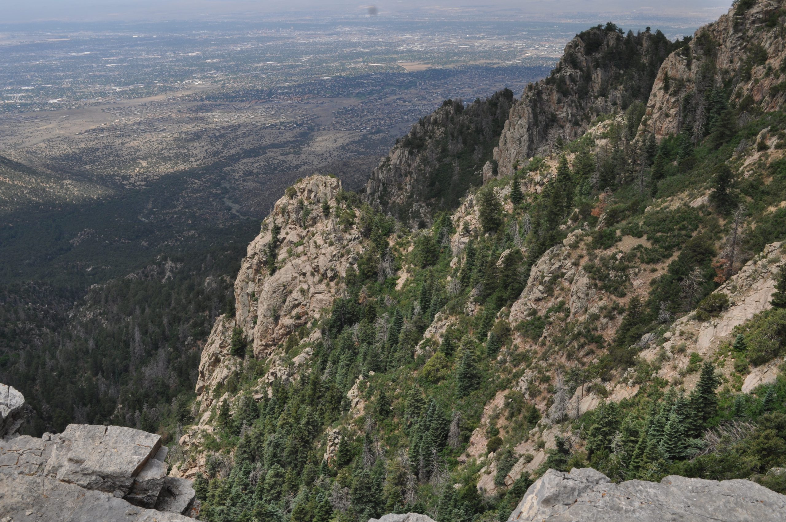 View From the Crest