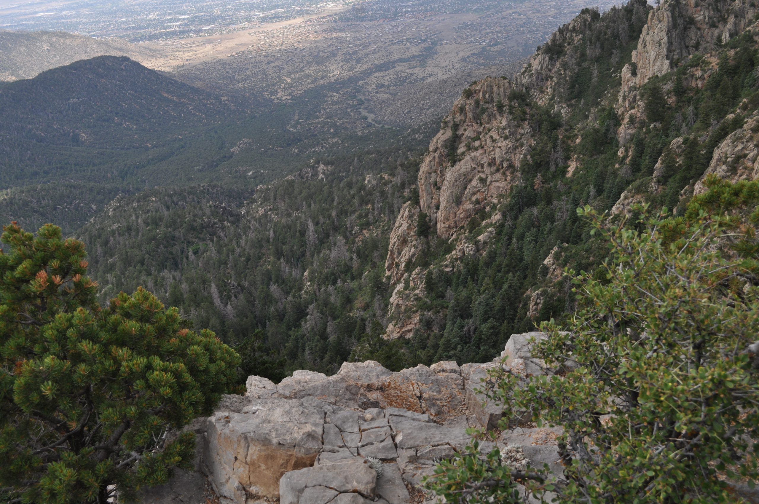 View From the Crest