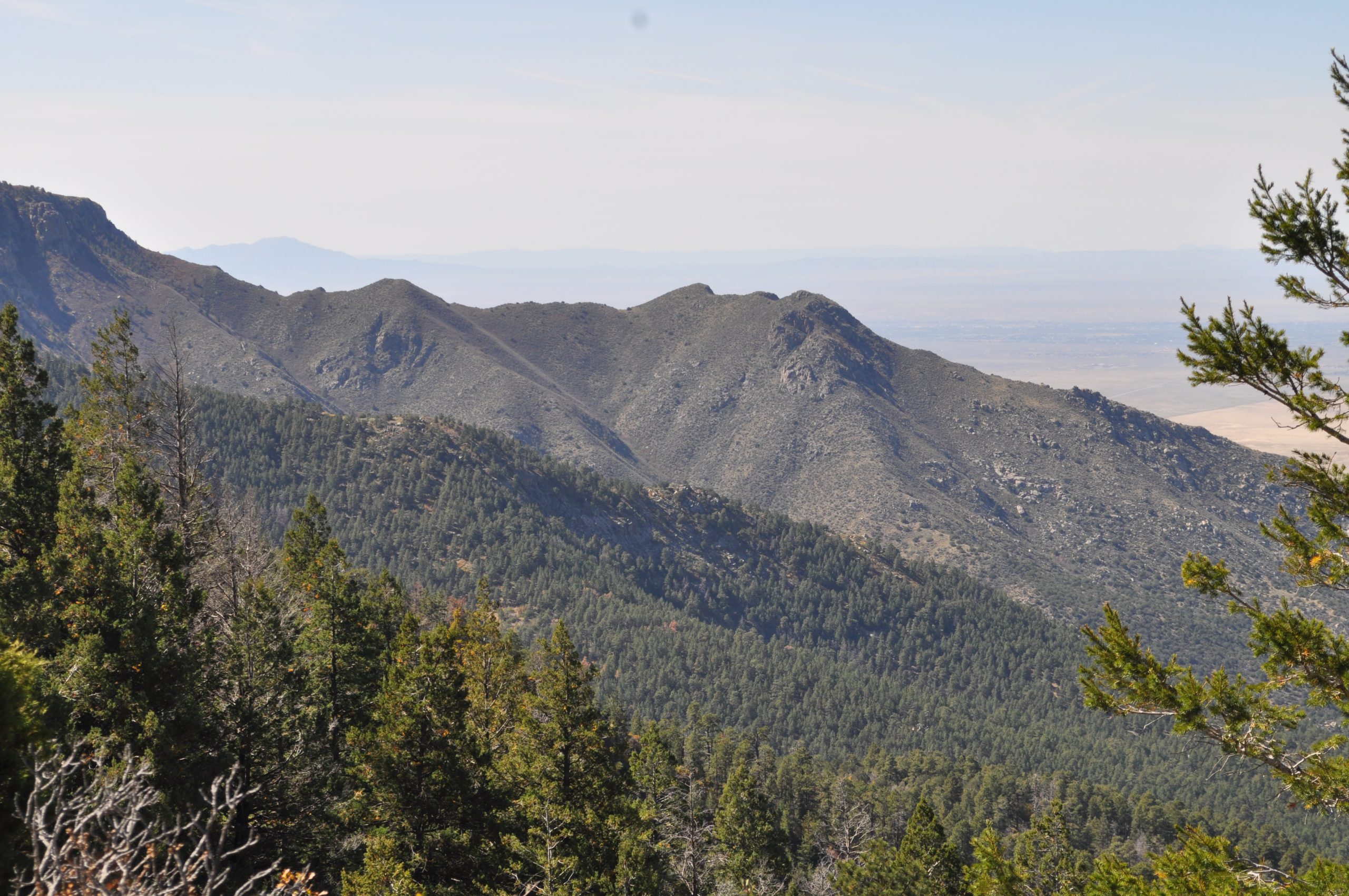 View from the Crest