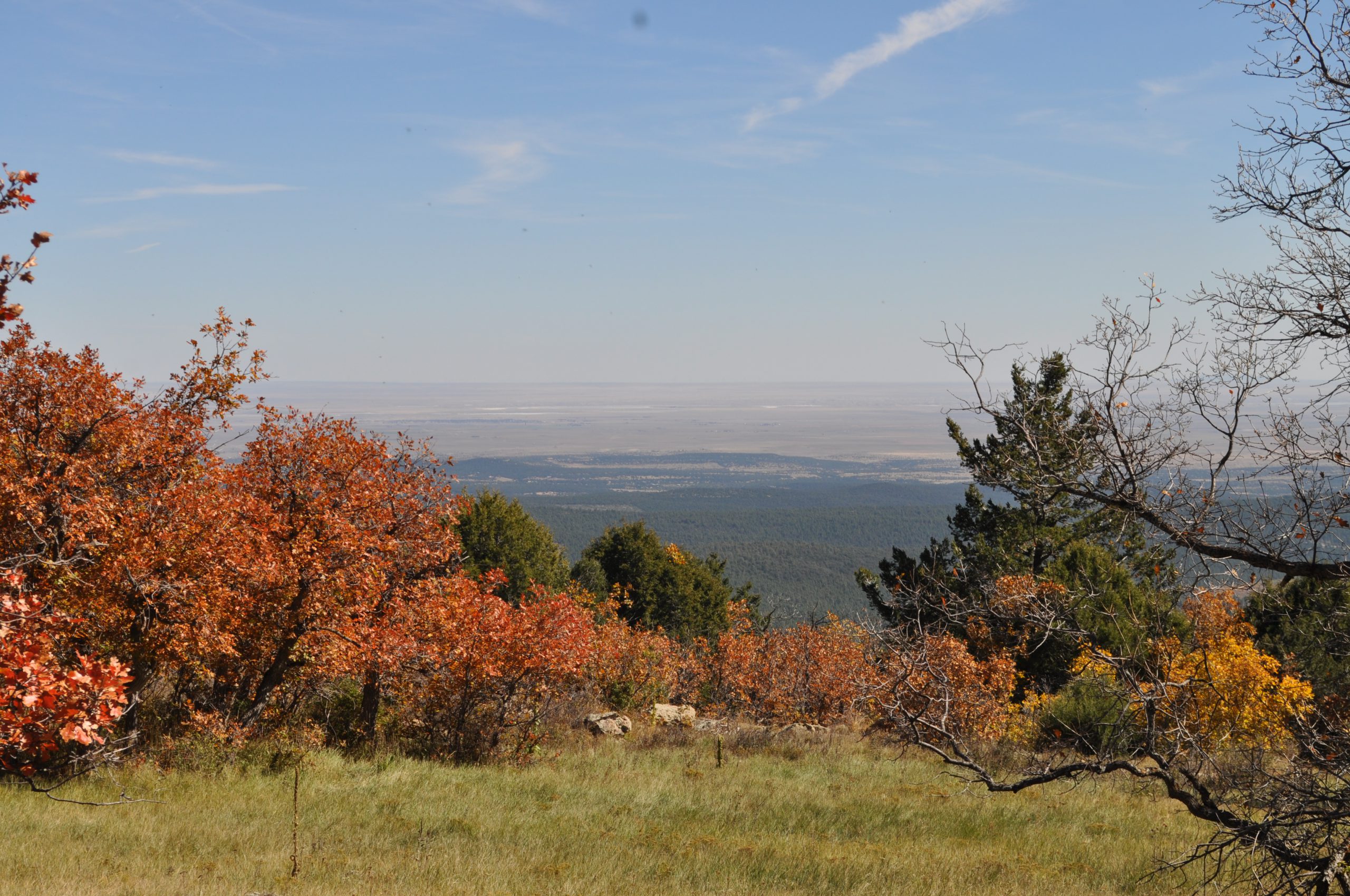 View Near the Crest of the Eastern Plains