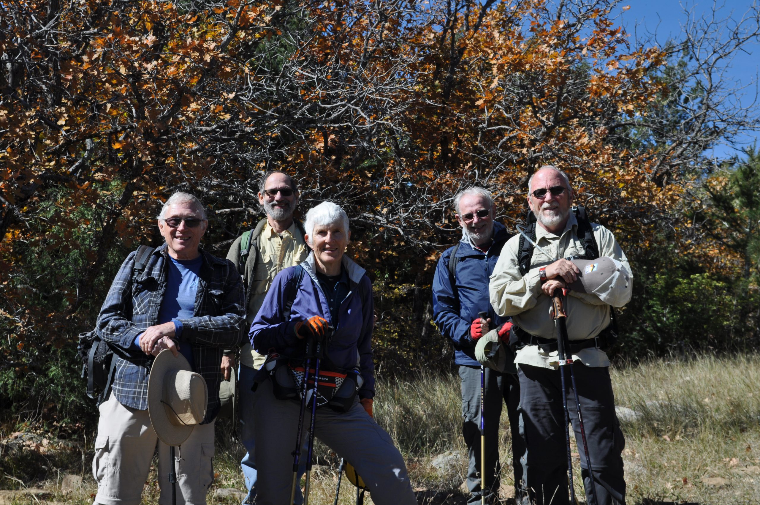 The Hikers