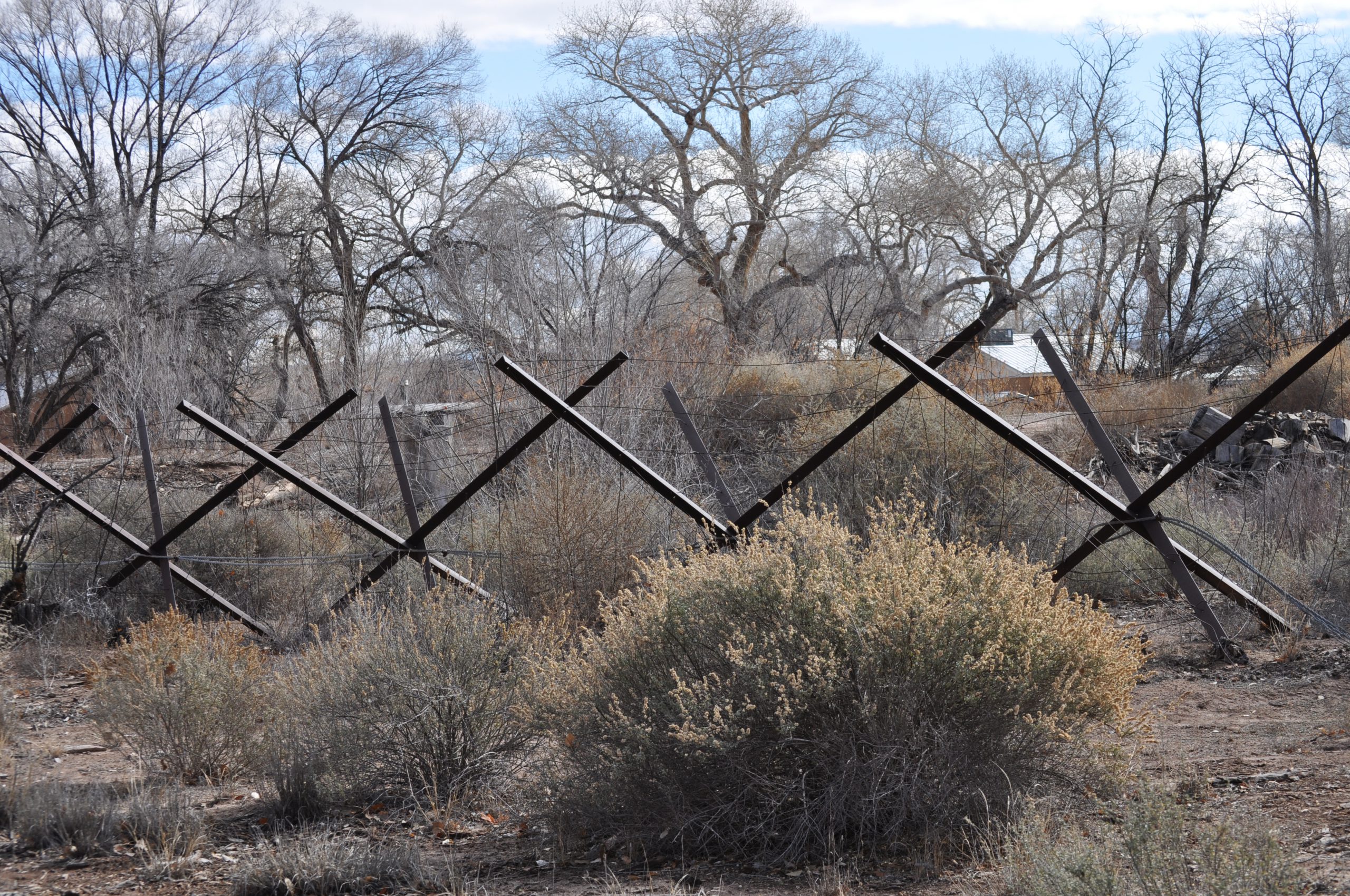 "Jetty Jacks" Near the Rio Grande
