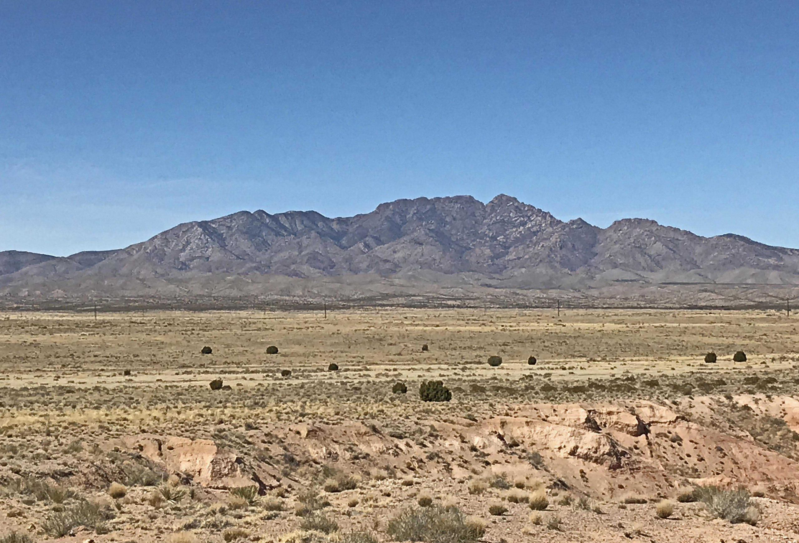 Looking West