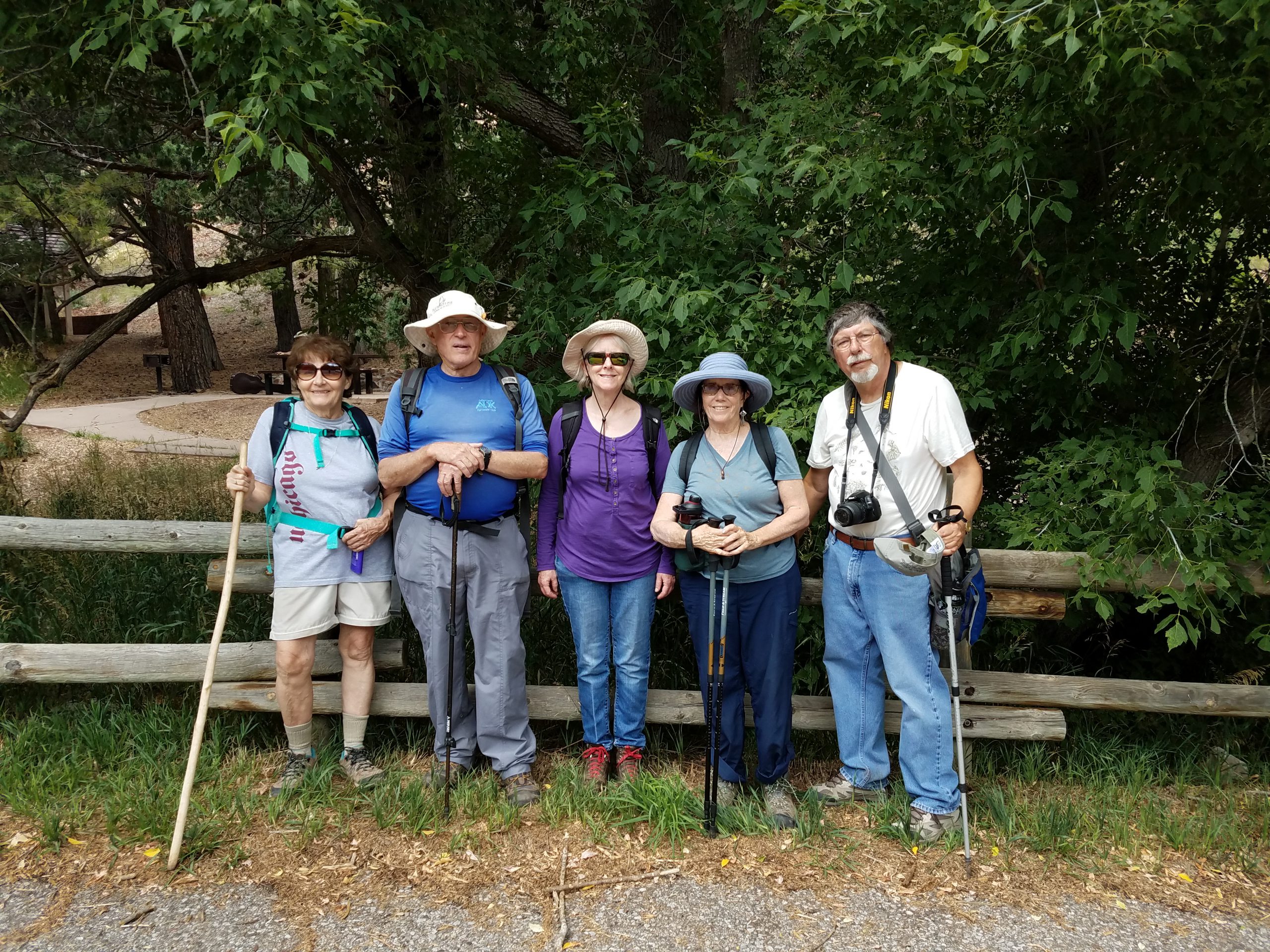 The Intrepid Hikers